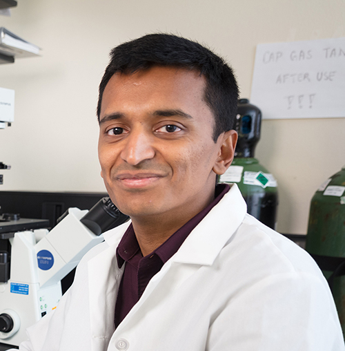 Photo of Narasimhan Rajaram, PhD